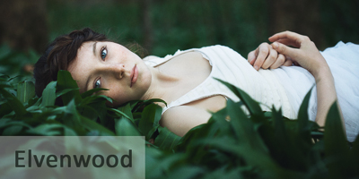 elvenwood