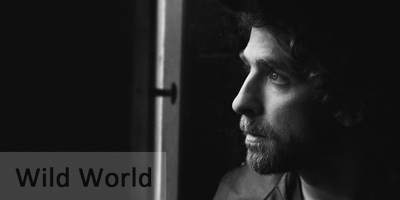 wild world